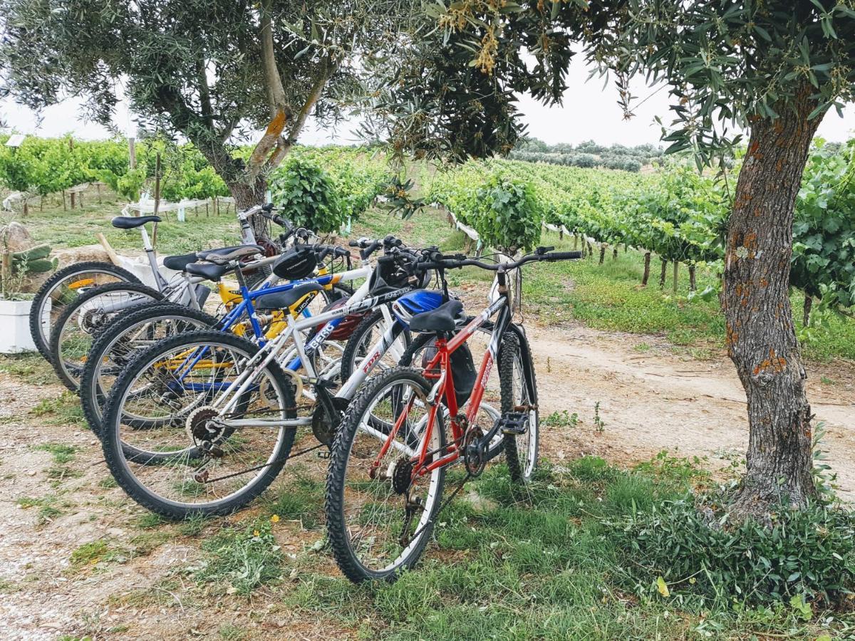 Monte Das Aranhas Estremoz Zewnętrze zdjęcie